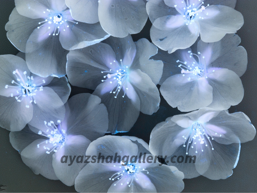 Artistic Glowing Flower