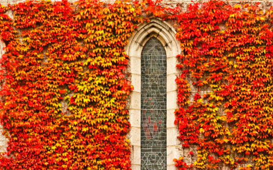 Autumn church window