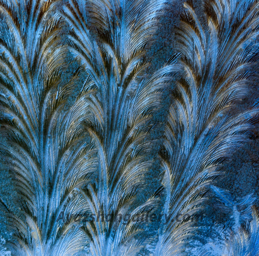 Artistic, Icecles